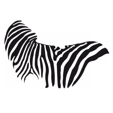 Stickers rayure zebre