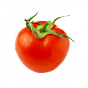 Stickers tomate