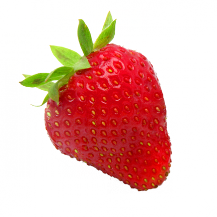 Stickers fraise
