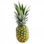 Stickers ananas