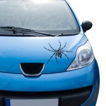 Stickers araignée véhicule