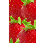 Lé fraise