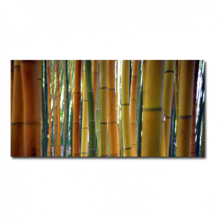 Tableau déco bambou