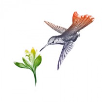 Stickers Oiseau fleur