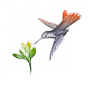 Stickers Oiseau fleur