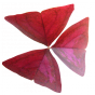 Stickers Fleur triangle