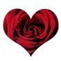 Stickers Coeur rose rouge