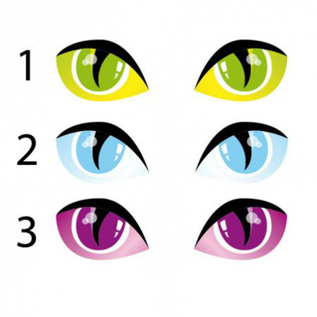 Stickers Yeux de chat (3 coloris)