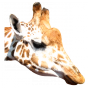 Stickers Girafe 3