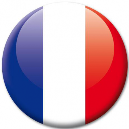 Résultat de recherche d'images pour "drapeau français"