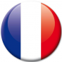 Badge drapeau France