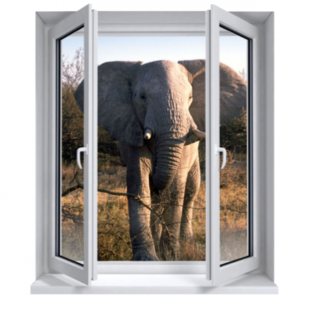 Stickers trompe l'oeil fenêtre éléphant