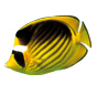 Stickers poisson jaune